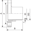 NUTFLANSCH NF DN32 H3 1.4307 - DIN 11853-2