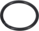 O-RING Ø30 FPM/FEP - BETWEEN IMPELLER AND SHAFT END