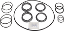 SERVICE KIT DURACIRC - 52/53/54 SINGLE SEAL SIC/SIC FPM