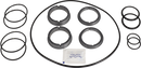 pumps-525354-single-seal-sicsic-fpm-8010007095-content_medium.webp