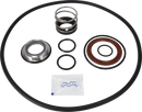 pumps-csic-flushed-shaft-seal-9611922511-_medium.webp