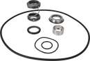 pumps-dms-sicsic-9611920552-content_medium.webp