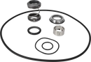 pumps-dms-sicsic-9611920554-content_medium.webp