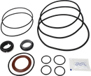 SERVICE KIT FPM LKH-113 C/SIC - FLUSHED SHAFT SEAL