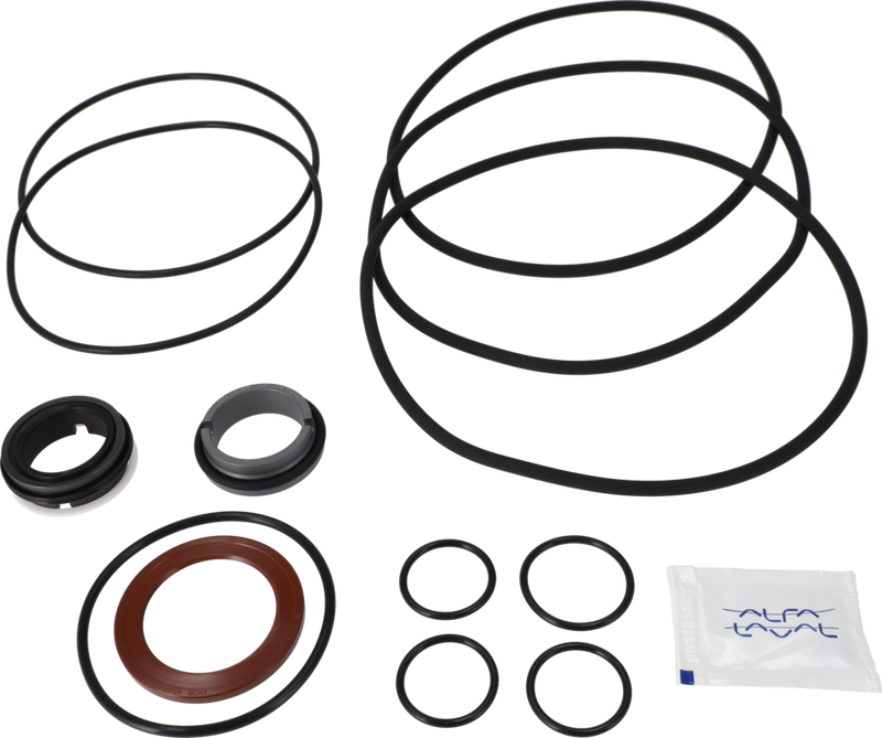 SERVICE KIT FPM LKH-113 C/SIC - FLUSHED SHAFT SEAL