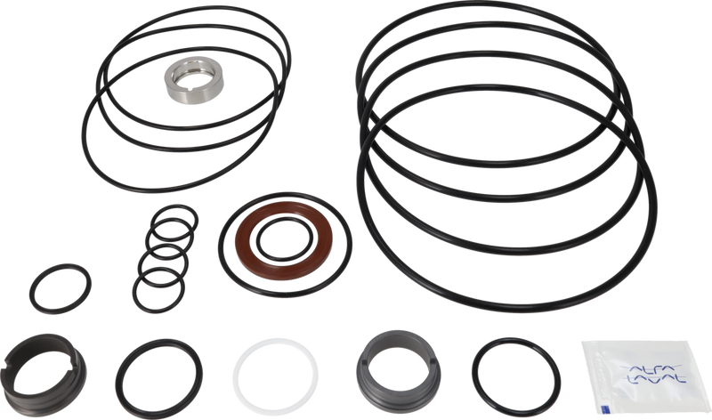 SERVICE KIT NBR LKH-114 C/SIC - FLUSHED SHAFT SEAL