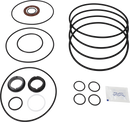 SERVICE KIT FPM LKH-114 C/SIC - FLUSHED SHAFT SEAL