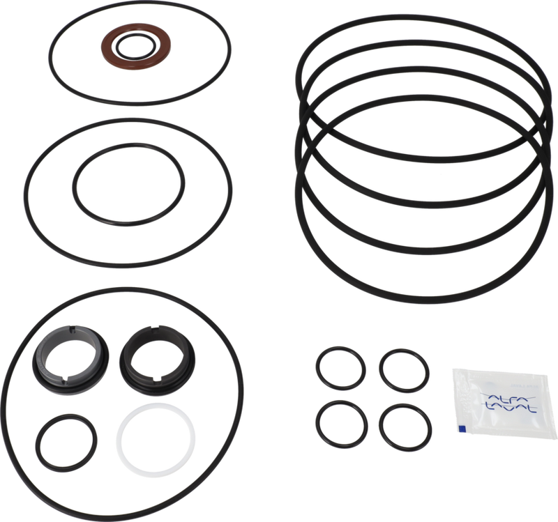 SERVICE KIT FPM LKH-114 C/SIC - FLUSHED SHAFT SEAL