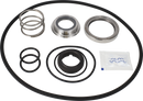 SERVICE KIT EPDM LKH-25/35/45 - C/SIC FLUSHED SHAFT SEAL