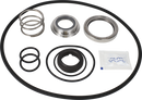 pumps-service-kit-epdm-lkh-253545-csic-flushed-shaft-seal-9611922186-content_medium.webp