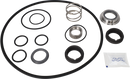 pumps-service-kit-epdm-lkh-405060-csic-double-mechanical-shaft-seal-and-impeller-screw-9611922234-content_medium.webp