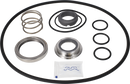 SERVICESATZ EPDM LKH-40/50/60 - SIC/SIC FLUSHED SHAFT SEAL AND IMPELLER SCREW