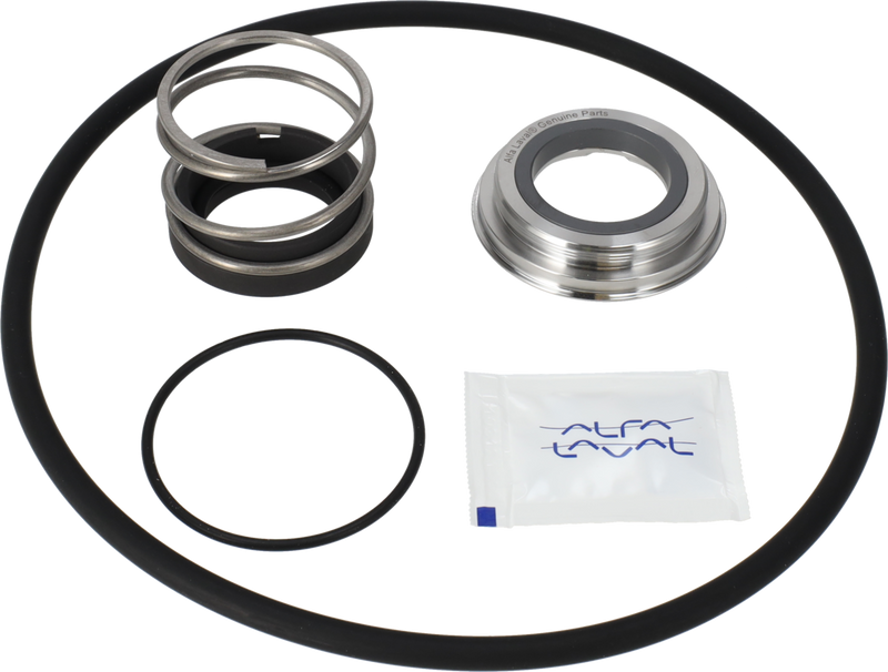 SERVICE KIT FPM LKH-10/15 - C/SIC SINGLE SHAFT SEAL