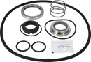 pumps-service-kit-nbr-lkh-253545-csic-flushed-shaft-seal-9611922187-content_medium.webp