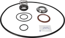 pumps-sicsic-flushed-shaft-seal-9611922647-content_medium.webp