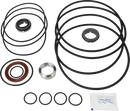 pumps-sicsic-flushed-shaft-seal-9611922670-content_medium.webp