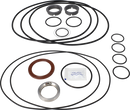pumps-sicsic-flushed-shaft-seal-9611922682-content_medium.webp