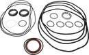 pumps-sicsic-flushed-shaft-seal-9611922689-content_medium.webp