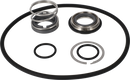 pumps-sicsic-single-shaft-seal-9611927066-content_medium.webp