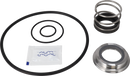 SERVICE KIT FPM LKH-5 C/SIC - SINGLE SHAFT SEAL AND IMPELLER SCREW