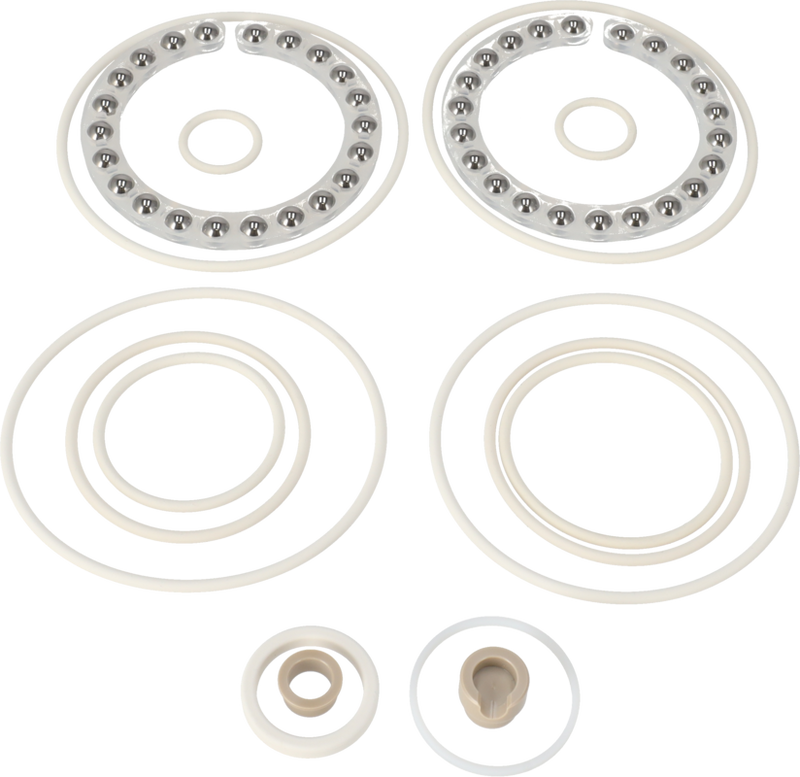 MINOR SERVICE KIT SANIJET 25 - FFKM STAINLESS Q-DOC (USP)