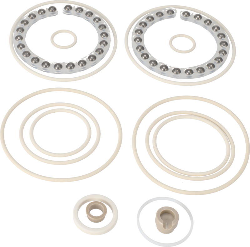 MINOR SERVICE KIT SANIJET 25 - FFKM SUPER DUPLEX Q-DOC (USP)