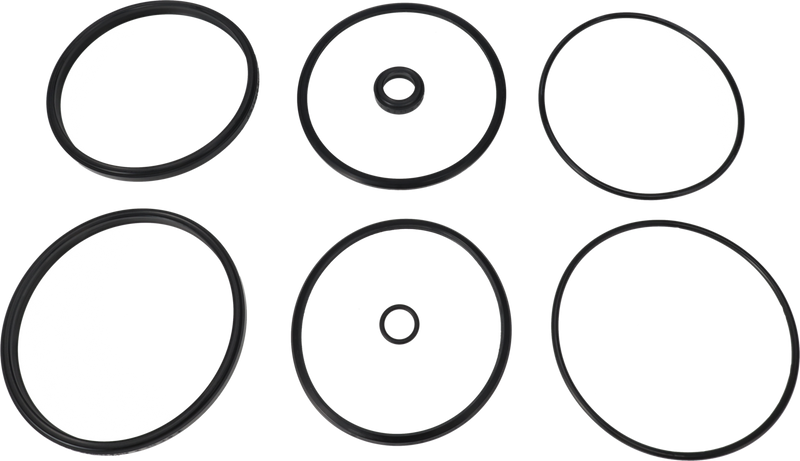 SERVICESATZ EPDM UNIQUE DOUBLE - SEAT 101.6/DN100 PLUG SET-UP 12