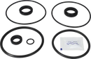 valves-service-kit-epdm-unique-double-seat-101.6dn100-plug-set-up-9-9611926362-content_medium.webp