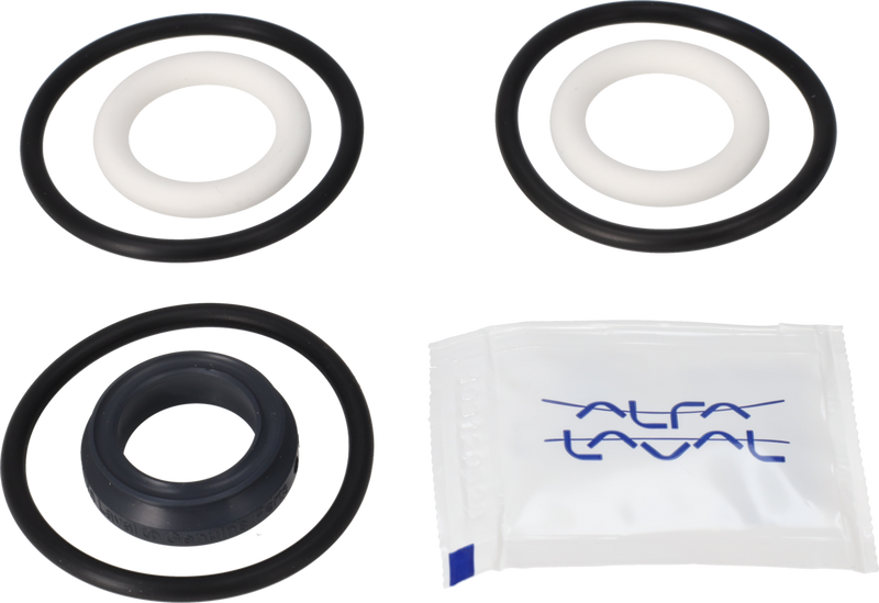 SERVICESATZ FPM UNIQUE SSV - CHANGE OVER STANDARD AND MANUAL VALVE 25/DN25/1"