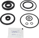 valves-service-kit-hnbr-unique-double-seat-51dn50-plug-set-up-3-and-16-9611921617-content_medium.webp