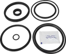 valves-service-kit-nbr-cp-3-1-12-valve-plug-set-up-20-9611928274-content_medium.webp