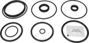 valves-service-kit-nbr-iso-51dn50-blasted-valve-unique-mixproof-3-body-plug-setup-31-9611928456-content_medium.webp