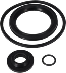 valves-service-kit-nbr-oo-special-lip-seal-76-9611920460-content_medium.webp
