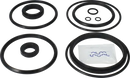 valves-service-kit-nbr-unique-double-seat-63.5-76dn65-80-plug-set-up-2-and-13-9611921582-content_medium.webp